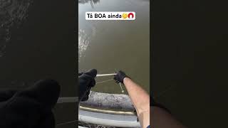 Tá BOA ainda🤔🧲 #pesca #pescaria #fishing #hobby