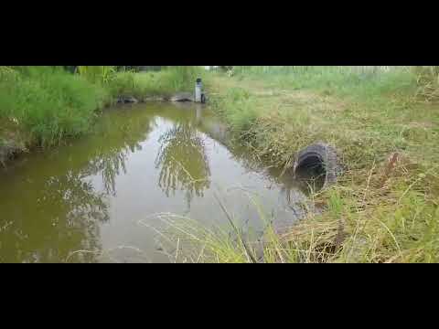 PESCUIT LA BALTA DIN GRĂDINĂ LA MĂMĂLIGĂ!✅️