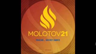 Toucan - Universal Sun (Original Mix) [Molotov21]