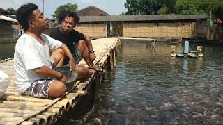Download lagu Toni turns left #gives fish mp3 Download lagu Toni turns left #gives fish mp3