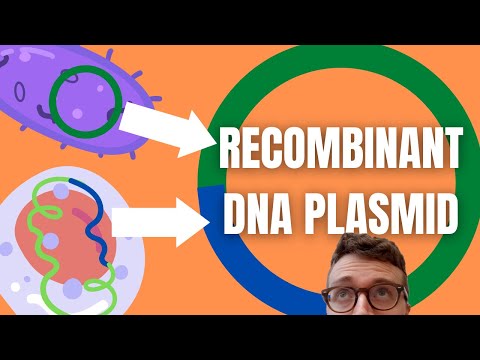 Recombinant DNA Technology Explained For Beginners