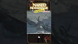 【片手剣】裸ノーダメージ達成の瞬間