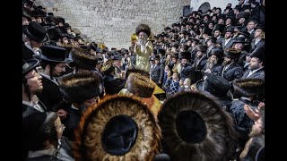 רב מיילך בידרמן בצפת, חשמל באוויר ! - Rabbi Elimelech Biderman
