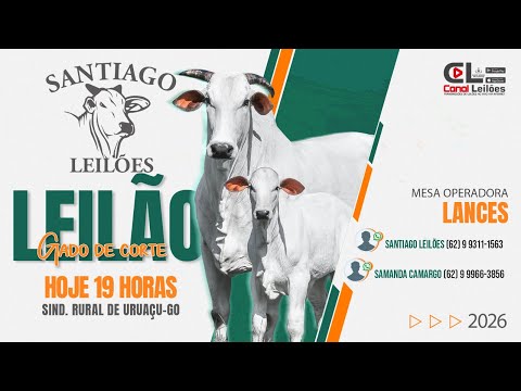 LEILÃO GADO DE CORTE SANTIAGO LEILÕES | URUAÇU-GO - 11/03/2026
