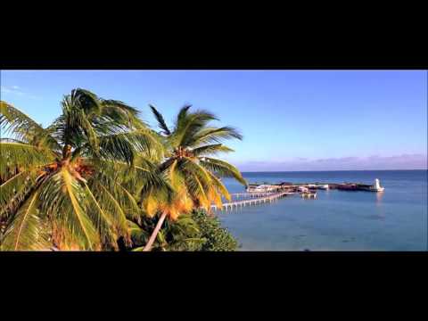 Shaggy & Omi - "SEASONS"