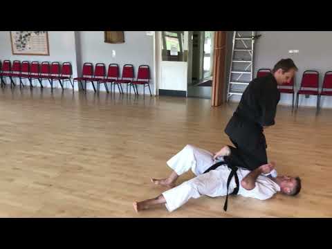 Sanchin Dachi Step Bunkai