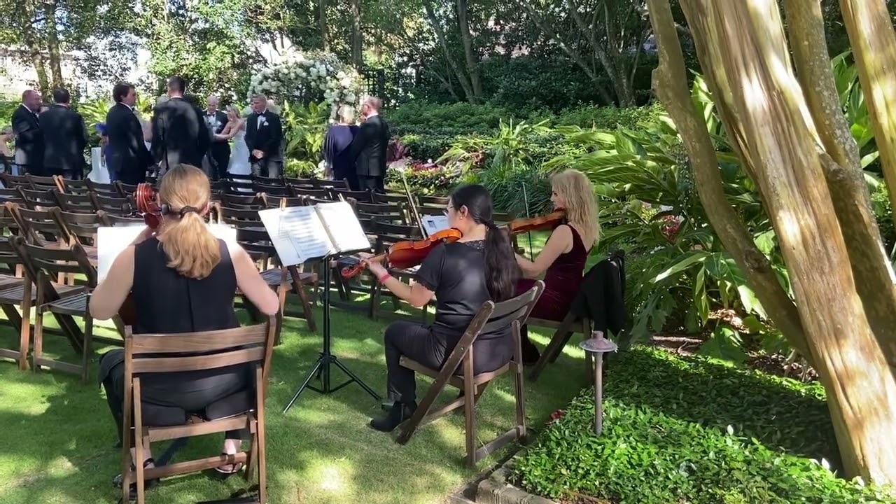 Promotional video thumbnail 5 for Charleston Elite Musicians
