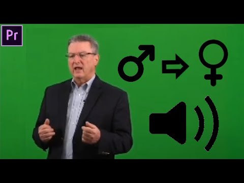 Male to Female Voice Effect | Tutorial Premiere Pro | 30 Second Tutorial | Voice Distortion #7