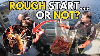 Catching Langoustine at Sea (Full Trap Setup + Big Catches!)