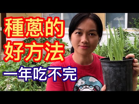 一盆