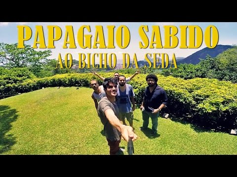 PAPAGAIO SABIDO - AO BICHO DA SEDA (Clipe)