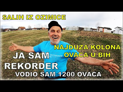 36 DANA VODIO SAM 1200 OVACA DO GLAMOČA - SALIH IZ NOVOG ŠEHERA (OZIMICA)