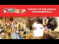 Kidsongs Turkey In The Straw Instrumental