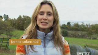 Portugal-Fine Living