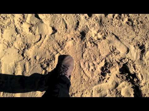 Welcome to Israel ISO TC 176