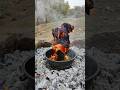 Whole Roasted Chicken In Nature