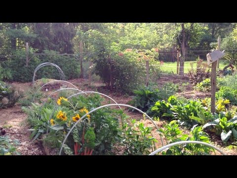 Edible Acres - Who We Are