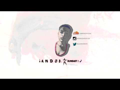 Landje-Gunshot.