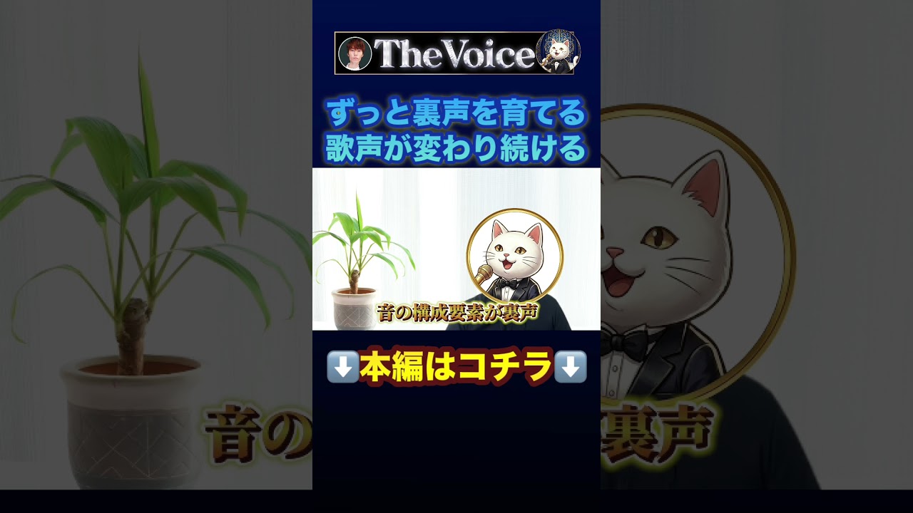 ミックスボイスを良質にして、一生後悔しない歌声にするために必要な純粋な裏声