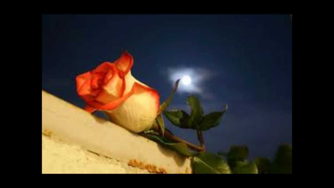 A TE LASSù....wmv