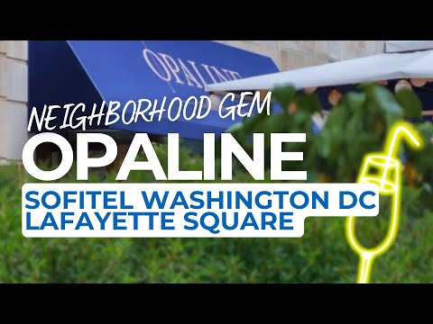 Opaline at Sofitel Washington DC: A Neighborhood Gem for Everyone - The Washington Lobbyist