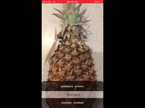 Translate Object : Swift Core ML Real Time Object Recognition + Translation via Google CS API