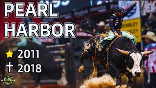 PEARL HARBOR: O TOURO DA PBR QUE SE TORNOU LENDA NO RODEIO MUNDIAL