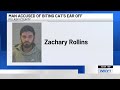 Kentucky Man Accused Of Biting Cat S Ear Off