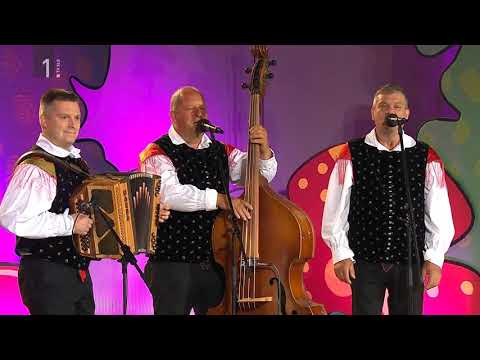 Kvartet Svit z Marino in Tomažem - Tople poletne noči