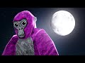 I M Sorry Gorilla Tag