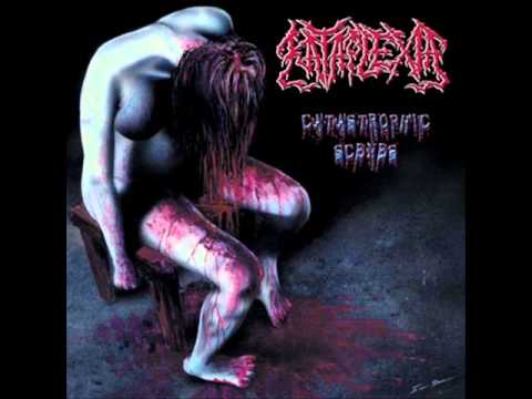 ashes from our incinerated innards - kataplexia