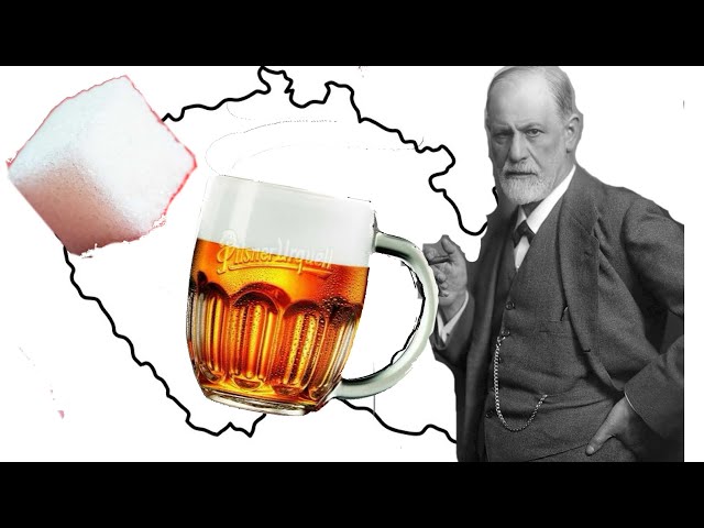 Výslovnost videa otto wichterle v České