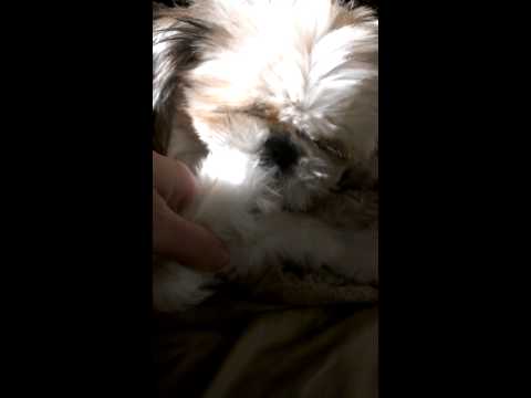 Bernard & Bob Marley