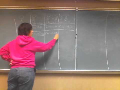 10 beau, nouveau, vieux