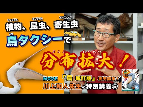 サント マリー諸島鳥類保護区 - 定義