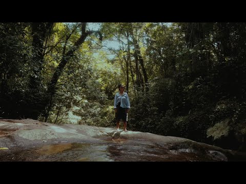 Tainá Seabra - Modo 2x (visualizer)