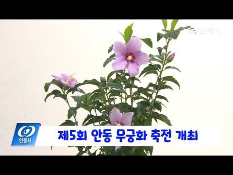 [안동 현장 리포트] 8월 8일, 제5회 안동 무궁화 축전 개최