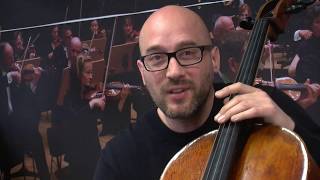 Fakten über das Cello