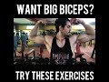 HOW TO GET BIGGER BICEPS (7 Exercises that you should try)
