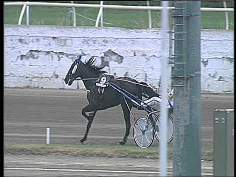 Trotto 22/04/2016 - 2° Corsa