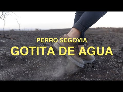 Gotita De Agua - Perro Segovia