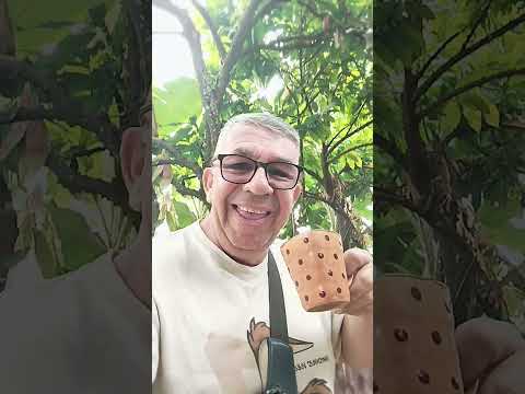 Siempre tomando Tintín en la tierra de los grandes, Chaparral Tolima.          🤜🏾❤️🤛🏾