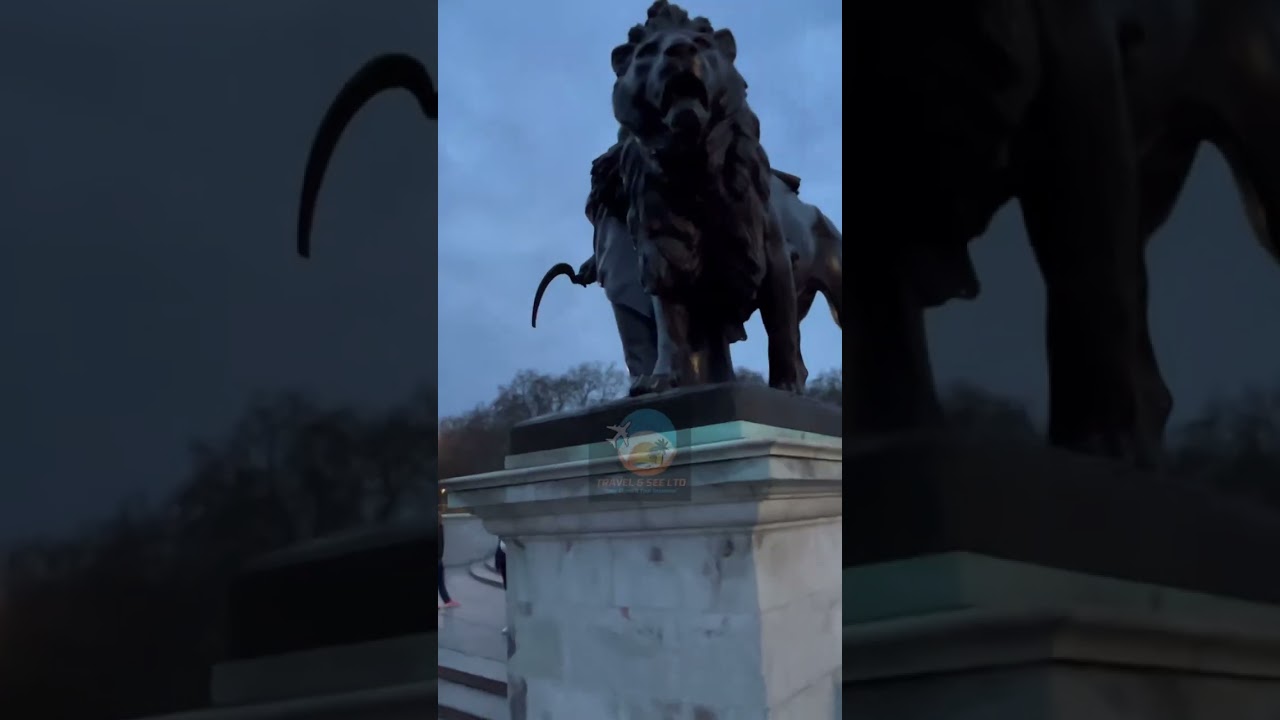 Single Video thumbnail