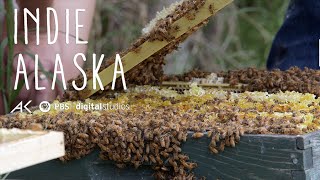The Hives and Lows of Beekeeping in Alaska | Indie Alaska