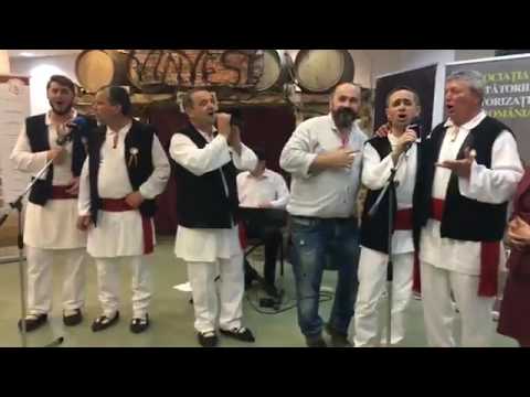 Haiducii din Amarasti VINVEST