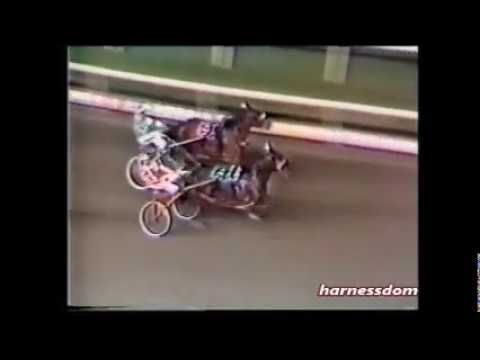 1984 Meadowlands ON THE ROAD AGAIN Buddy Gilmour NJ Classic Final $460,000
