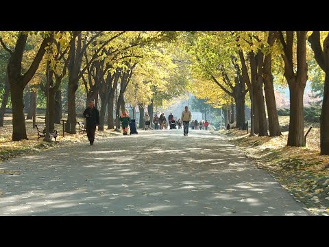 Info - Promene vremena i zdravlje (TV KCN 23.10.2025)