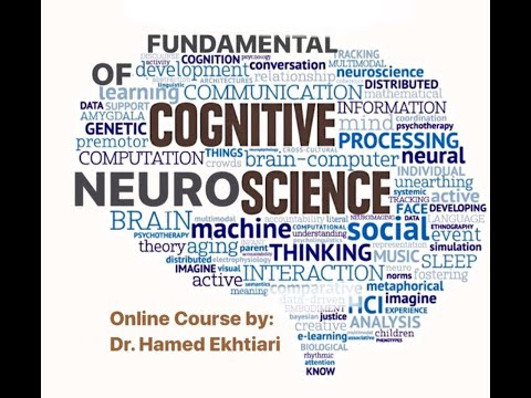 2.1. Levels of Brain Analysis, Fundamentals of Cognitive Neuroscience Course, Session 2, Part 1