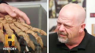 Pawn Stars: TOP PREHISTORIC PAWNS (3 Old, Rare &amp; Expensive Items)