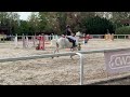 Hongre 9 ans pie gris 